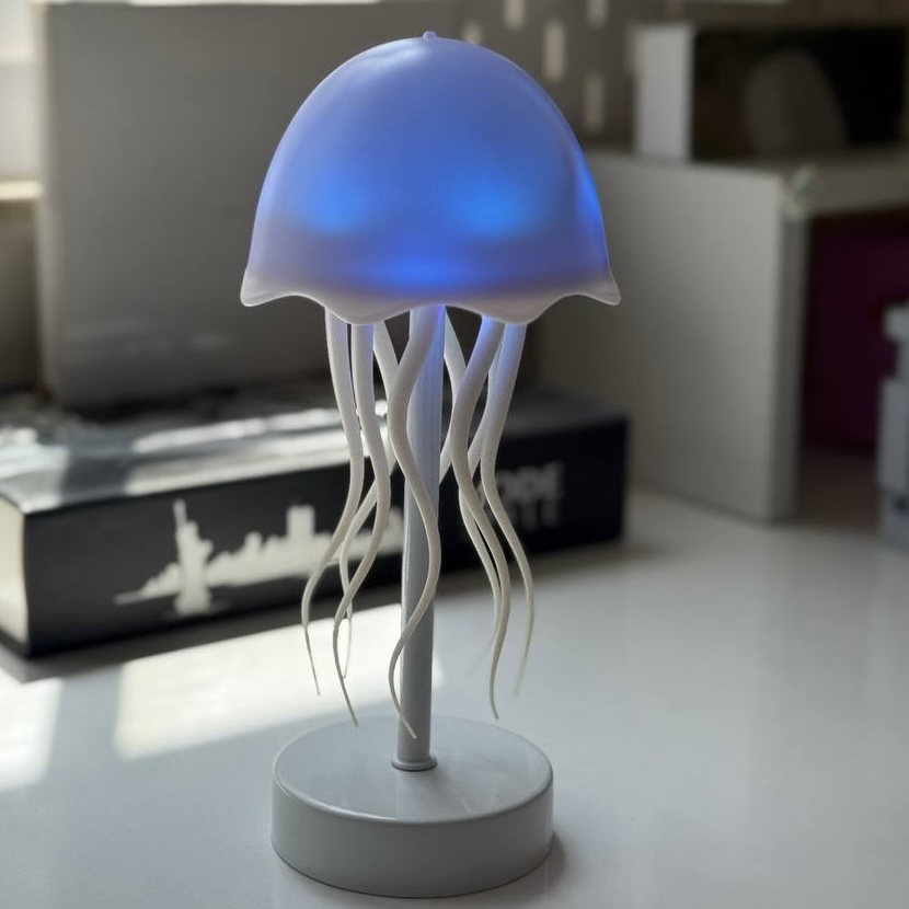 چراغ خواب عروس دریایی